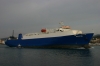 IPPOTIS_09-09-2012_8.JPG