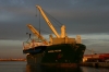 MAVERICK_19-12-2012_5.JPG