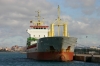 NICOLA_26-01-2013_1.JPG
