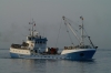 SEIFJORD_03-07-2006.JPG