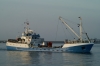 SEIFJORD_03-07-2006_2.JPG