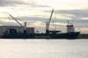 ABIS_DUNKERQUE_10-11-2014.JPG