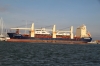 CLIPPER_NEW_YORK_11-10-2016_3.JPG