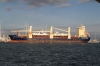 CLIPPER_NEW_YORK_11-10-2016_5.JPG