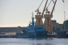 FULMAR_05-12-2013_3.JPG