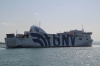 GNV_SEALAND_07-07-2021_7.JPG