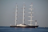 MALTESE_FALCON_21-08-2017.JPG