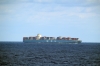 MOL_BELLWETHER_05-09-2015_1~0.JPG