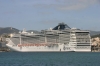 MSC_SPLENDIDA_02-04-2015_1.JPG